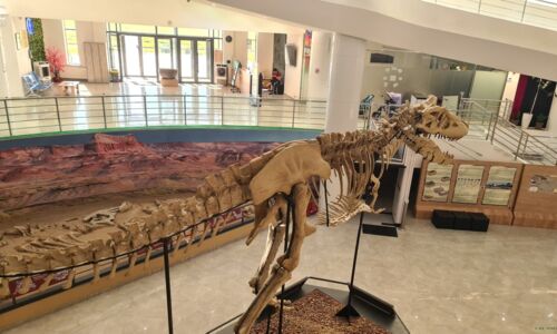 Ein Tarbosaurus, die Asiatische Variante des T-Rex