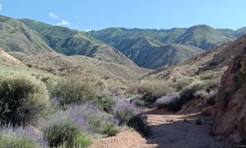 Wasserlauf im Fary Tale Canyon