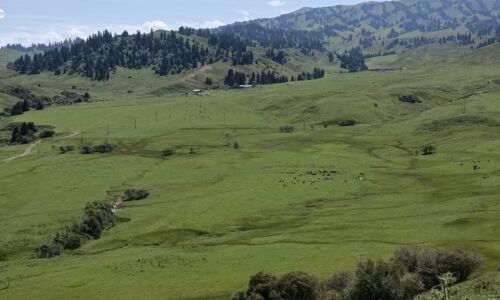 Wir verlassen Kirgistan mit wunderschönen Landschafts Bildern