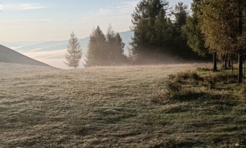 Nebel kommt vom Tal nach oben