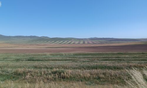 Landwirtschaftliche Flächen